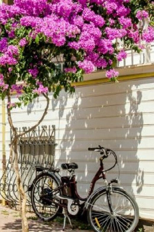 Prince's Island Group Tour - Key points to know before you go