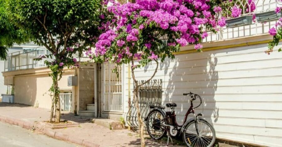 Prince's Island Group Tour - Heybeliada: photo stops, local wandering, and beach time
