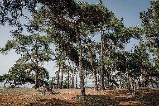 Princes' Islands Cruise with Lunch and Transfer Full-Day Tour - Büyükada: the 4-hour highlight with beaches, mansions, and no cars
