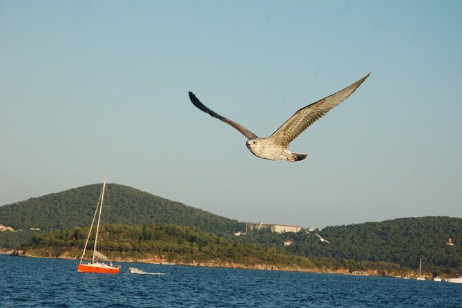 Princes' Islands Cruise with Lunch and Transfer Full-Day Tour - Who should book this (and who might prefer going solo)