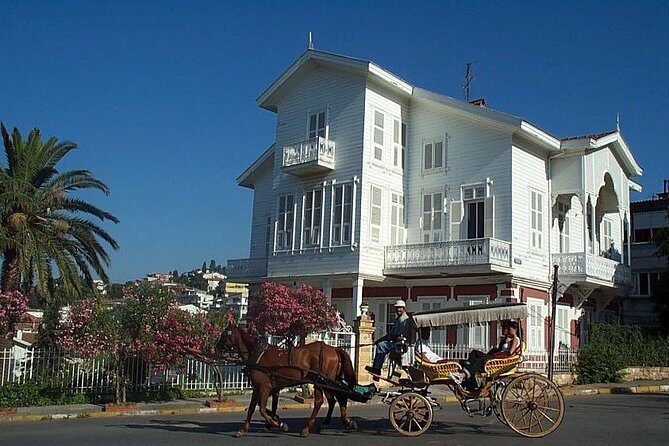 Princes' Islands Tour from Istanbul - The boat cruise from Istanbul: views you can’t replicate on land