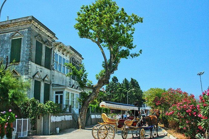 Princes' Islands Tour from Istanbul - Heybeliada and Buyukada: how the free time really works