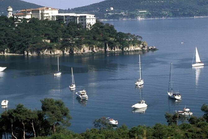 Princes Islands Tour WITH Private Boat, optional Pickup & Lunch - Burgazada (Fortress Island) and Heybeliada (Saddlebag Island): Scenic Stops in Between