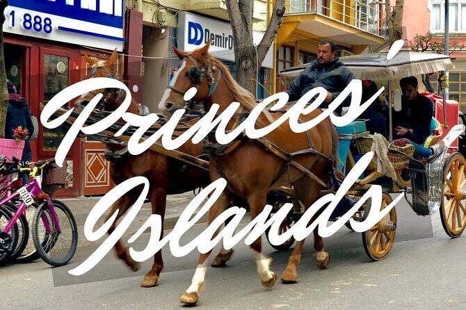 Princess Island Tour with Lunch & Ferry Ride - Timing and Weather: How to Make the Day Feel Better