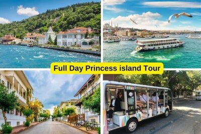Princess Islands Daily Tour from Istanbul - Getting picked up and onboard: small-group comfort with mobile tickets