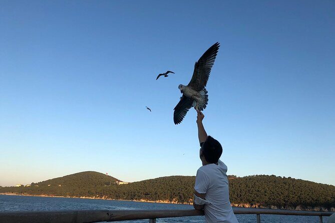 Princess Islands Tour With Lunch and Guide - Topkapı Palace stop and Maiden’s Tower: two icons in one schedule