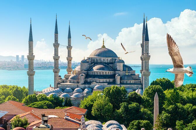 Private Cultural Tour of Istanbul: 1 or 2-Day Tailored Experience - Should you book this tailored Istanbul cultural tour