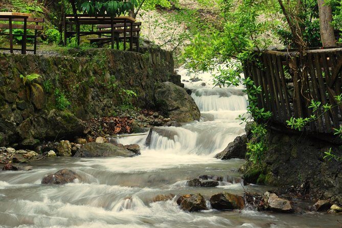 Private Day Trip From Istanbul to Lake Sapanca and Maşukiye Village - Ormanya Park: nature first, and why the admission fee matters