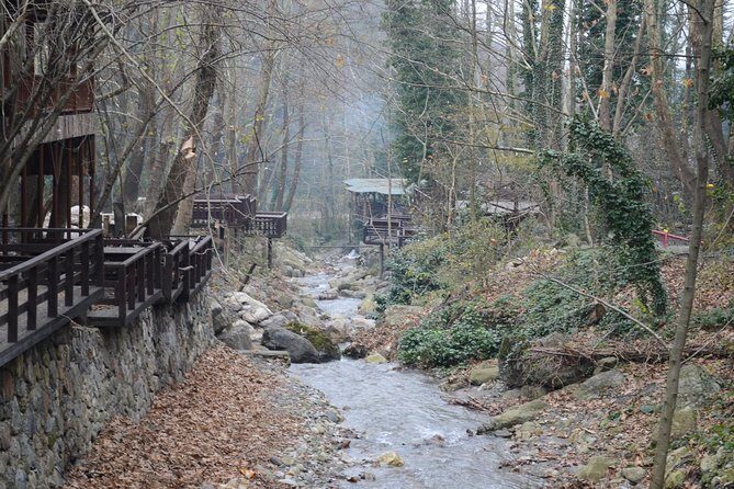 Private Day Trip From Istanbul to Lake Sapanca and Maşukiye Village - Kartepe Ski Resort and cable car: winter scenery with weather reality