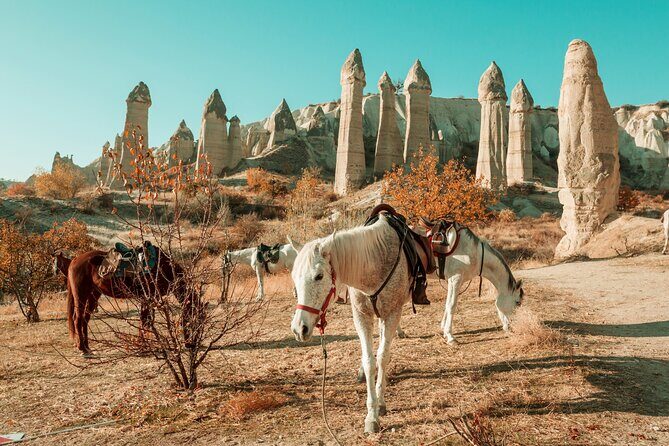 Private Day Trip to Cappadocia from Istanbul - Airport transfers that actually reduce stress