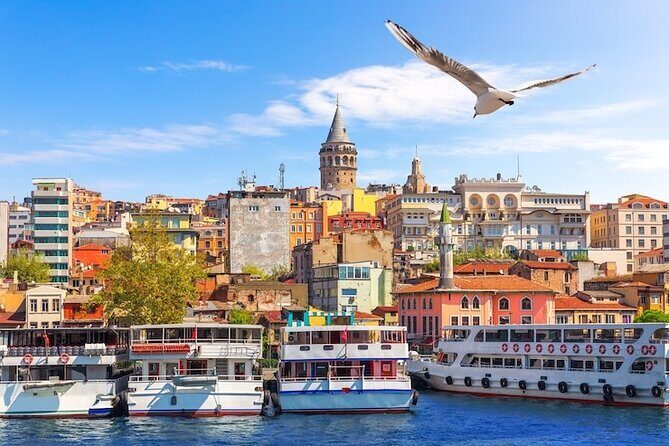 Private Guided Best of Istanbul Tour 1,2 or 3 Days - Private guided logistics that make the day easier