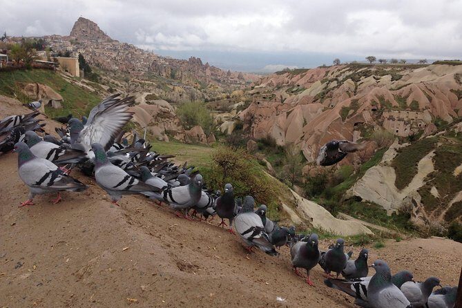 Private Highlights of Cappadocia Tour with lunch - Devrent Valley: Camel Shapes and Other Natural Imagination
