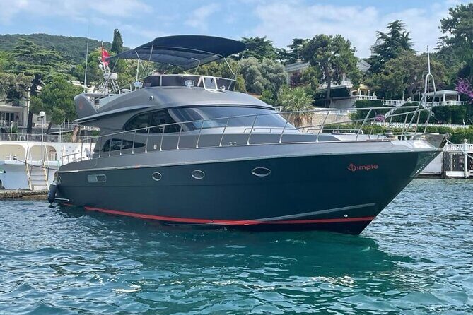Private Istanbul Bosphorus Yacht Cruise - The Yacht Setup: Comfort, Snacks, Soft Drinks, And WiFi