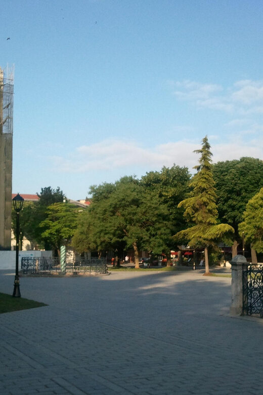Private Istanbul Highlights Tour with a VIP Van - How a 4-hour private tour works in real life