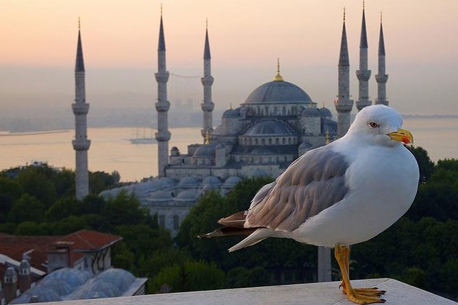 Private Istanbul Layover Tour From Airport - Hippodrome and Sultanahmet Square: the Roman racing track vibe