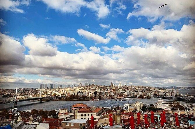 Prıvate Istanbul Tour by Luxury Minivan and Licensed Guide - The Europe–Asia Bridge Crossing: The Istanbul Switching Point