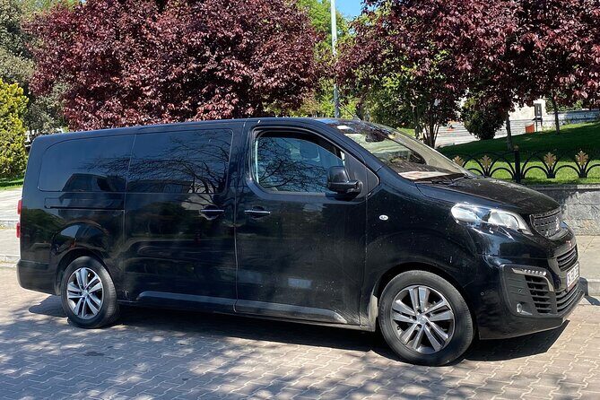 Private Minivan Transfer from Istanbul Airport - Price and value: $33.25 per person, and when it’s a win
