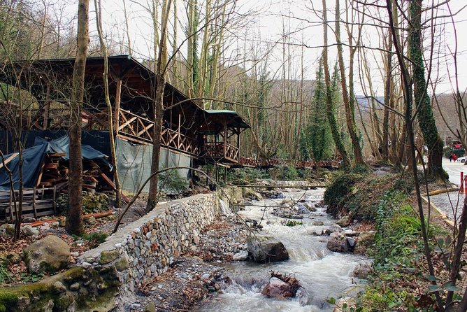 Sapanca And Masukiye Tour With Lunch - Full Day - Lunch along the riverside: a real break, not a rushed stop