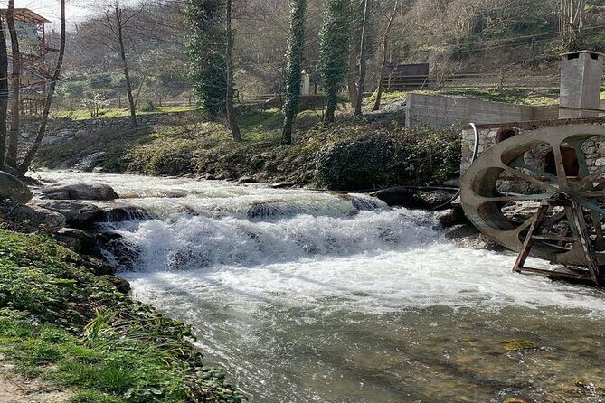 Sapanca Full Day Tour with Lunch - Mahmudiye Village by the Falls: Nature Views and Optional Fun