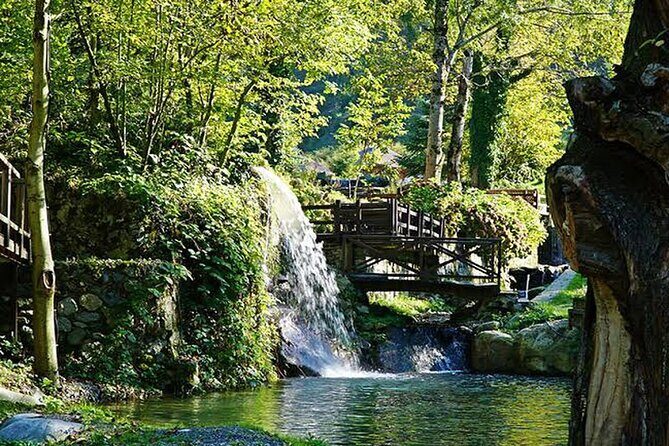 Sapanca Full Day Tour with Lunch - Maşukiye Selale (Kartepe Area): Views, Camteras, and Seasonal Context