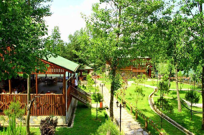Sapanca Lake & Masukiye Tour From Istanbul - Why Sapanca and Masukiye feel like a real escape from Istanbul