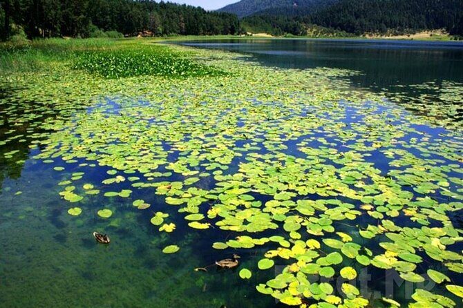 Sapanca Lake & Masukiye Tour From Istanbul - Price and what you actually get for around $30