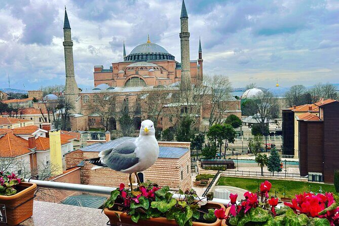 Skip Lines with Local Tour Guide Taha - Key highlights worth planning for