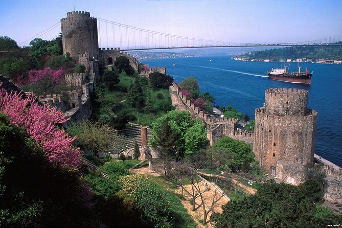 Skip-The-Line:1, 2 or 3 Days Private Istanbul Guided Tour - Blue Mosque: Stunning Tiles, Active Worship
