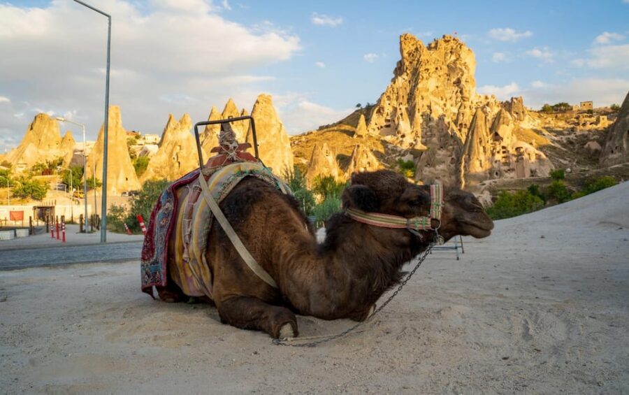 Sunrise and Sunset Camel Ride with Stunning Cappadocia Views - What I Like Most About the Reviews’ Vibe
