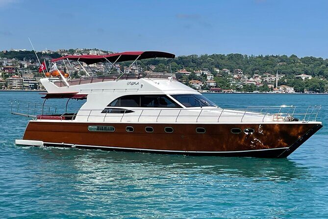 Sunset / Noon Bosphorus Cruise by Private Yacht - Ottoman landmarks from the sea: summer residences and palace angles