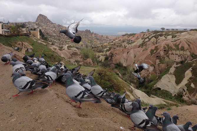 Tour of Highlights of Cappadocia with Lunch - Avanos and Sultans Seramik: kick-wheel pottery, not a factory tour