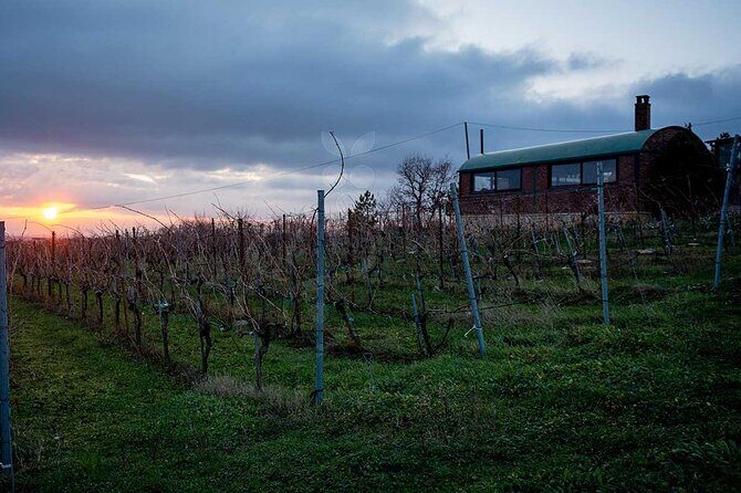 VIP Full Day Wineries Tour from Istanbul - Lunch on your own: what to do with the gap