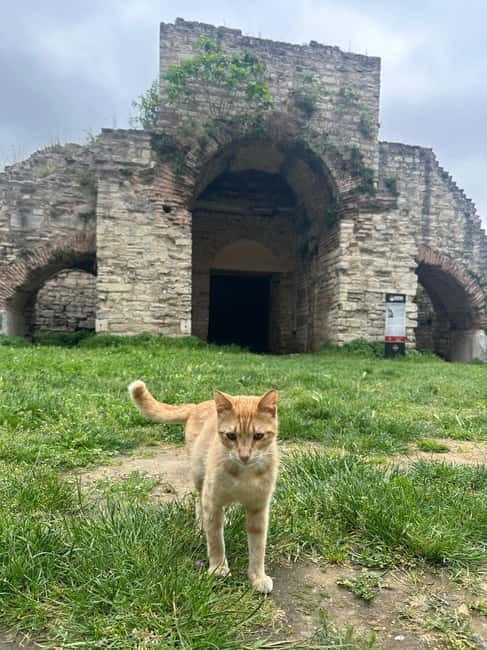 Walls of Contantinople and Blachernea Palace Tour - Price and value: what $106 covers and why it matters
